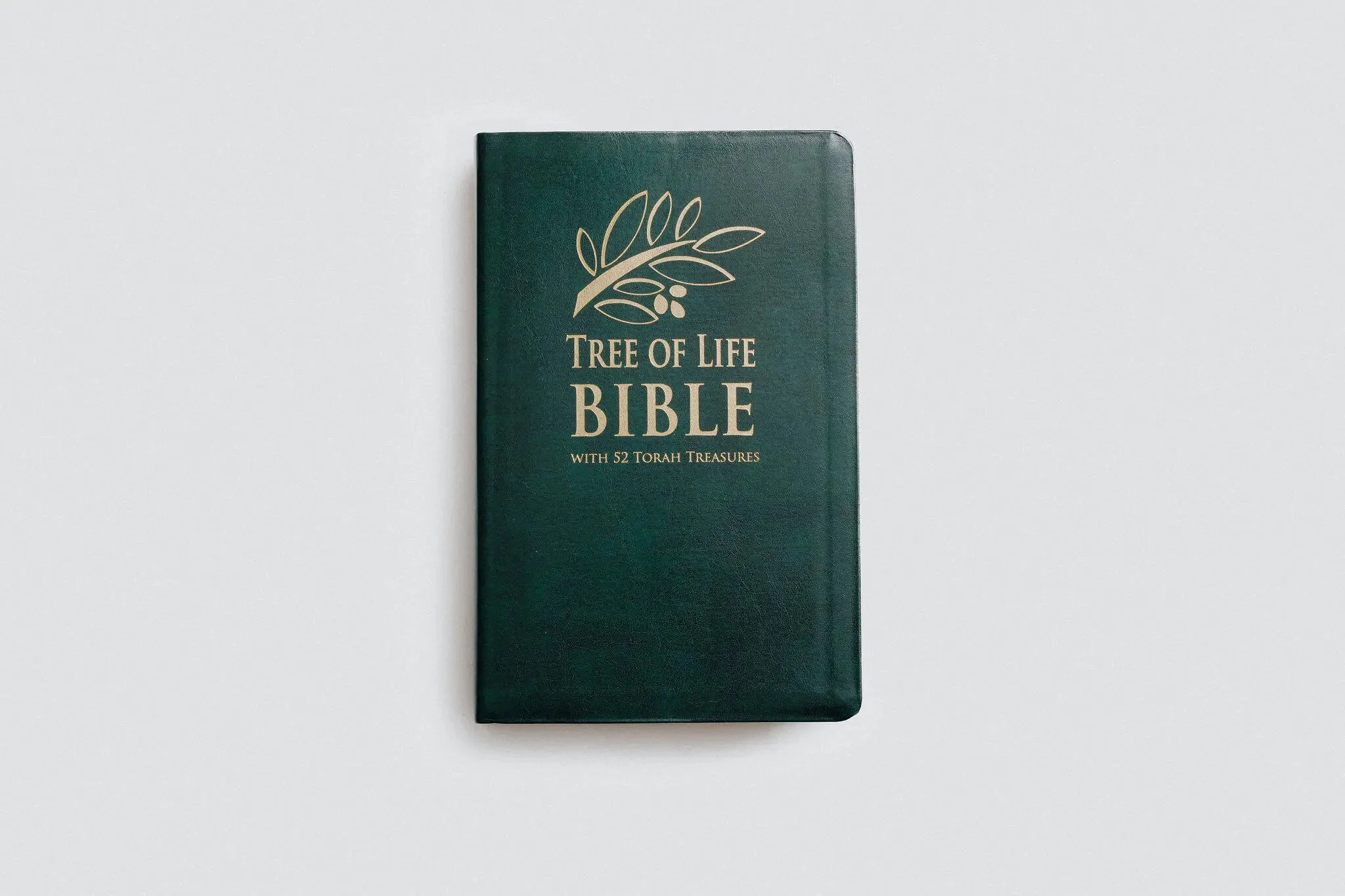 Devotional Bibles